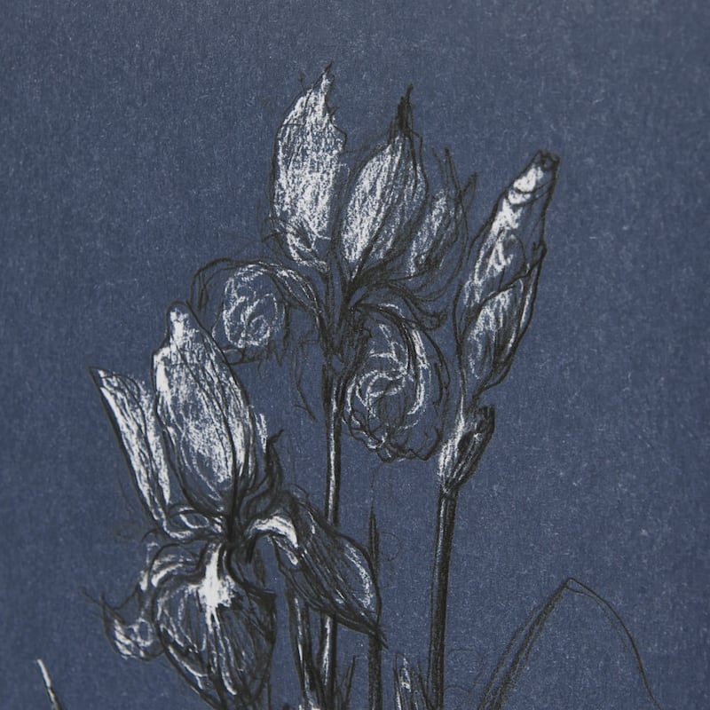 Botanical Sketches IV (Blue) Framed Art Print