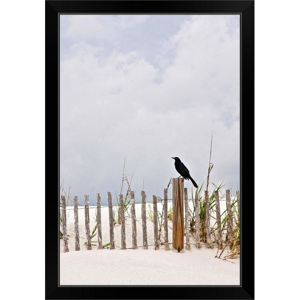 "Crow sitting on wooden fence at Pawley's Island, South Carolina, USA." Black Framed Print