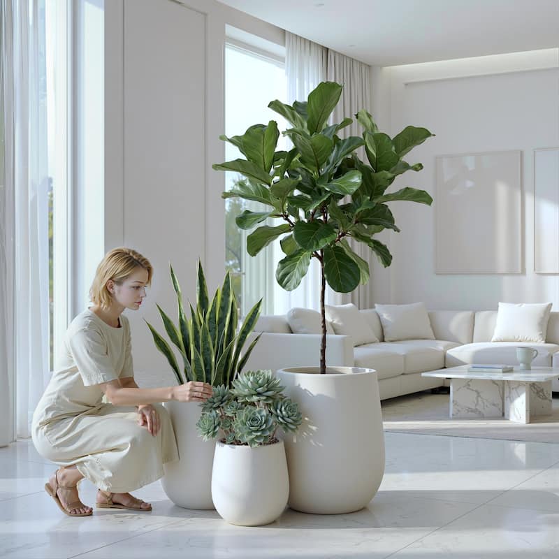 DTY Signature Mount Wilson 1-Piece Fiberstone Tapered Planter for Indoor/Outdoor, Black