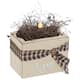 Option Antique White