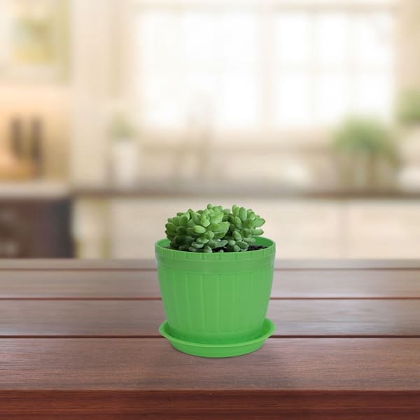 indoor plant trellis ideas Slow But Steady Pot Trellis
