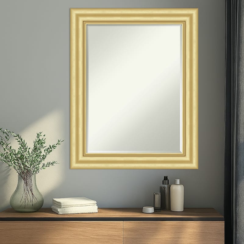 Sophia Half-Inch-Bevel Framed Wall Mirror
