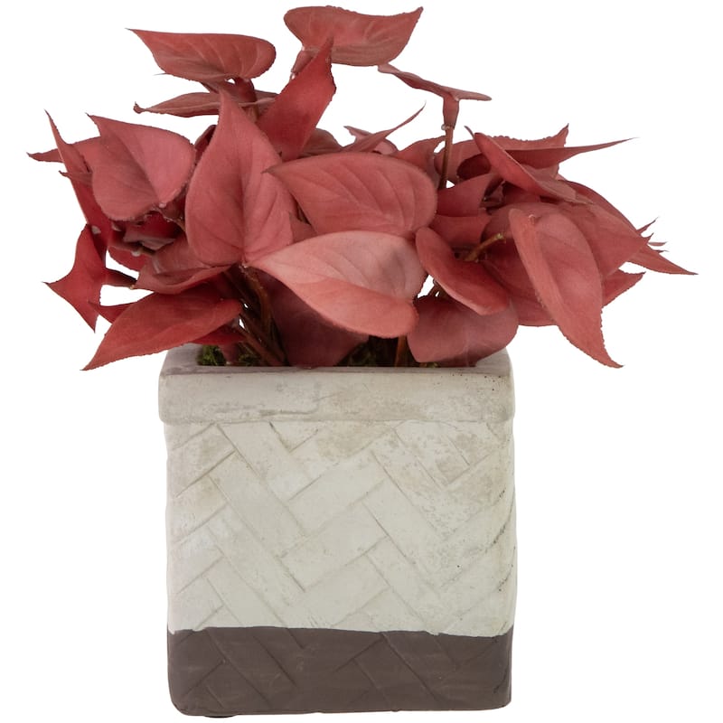 Brick Red Artificial Peperomia Plant In Square Lattice Designed Pot 7 "