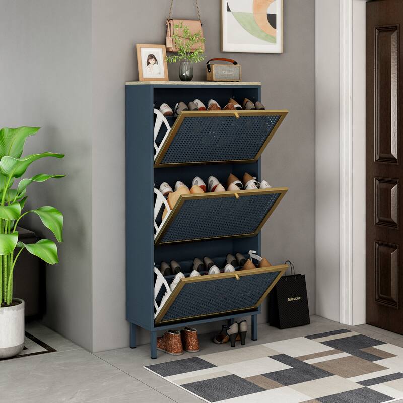 Metal and Rattan Shoe Storage Cabinet