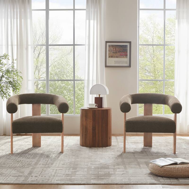 Accent Chair Living Room Chair with Solid Wood Frame
