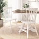 Option White Paint