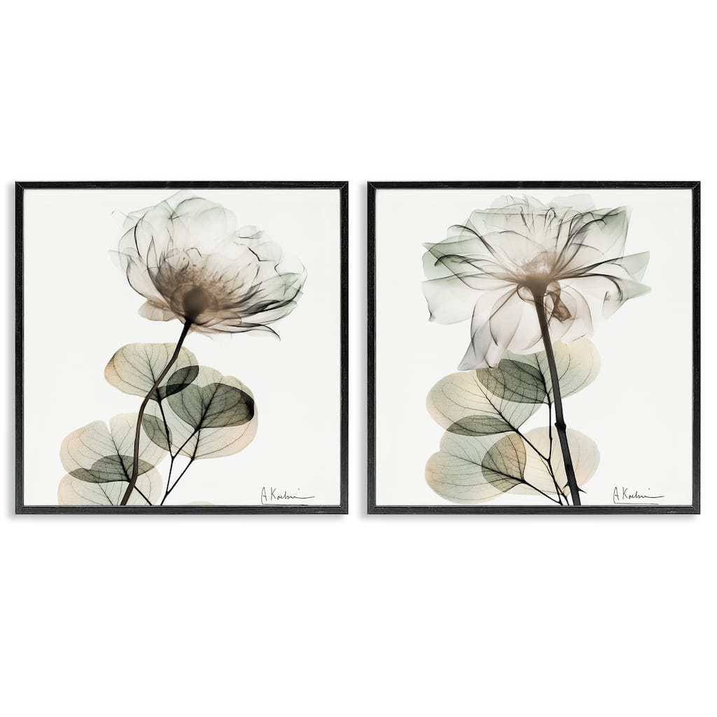 Stupell Cream Transparent Floral Framed Giclee Art Design By Albert Koetsier (Set of 2)