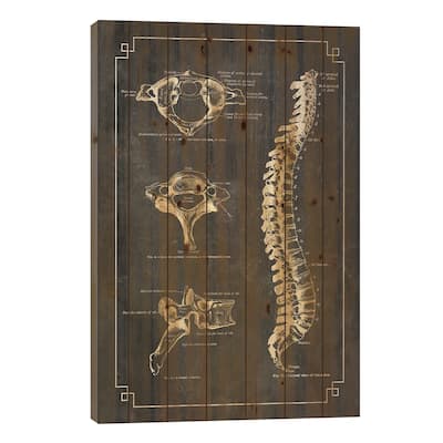 Bones Of The Spine Print On Wood by ChartSmartDecor - Multi-Color