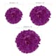 Option Purple Red