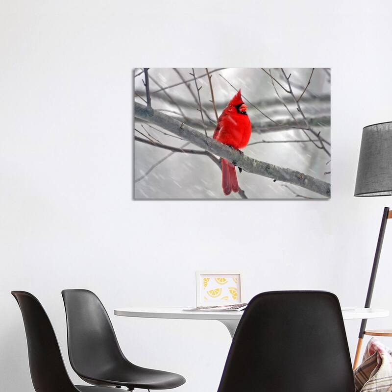 iCanvas "Cardinal Bird" by Unknown Artist Canvas Print - 26x40x1.5