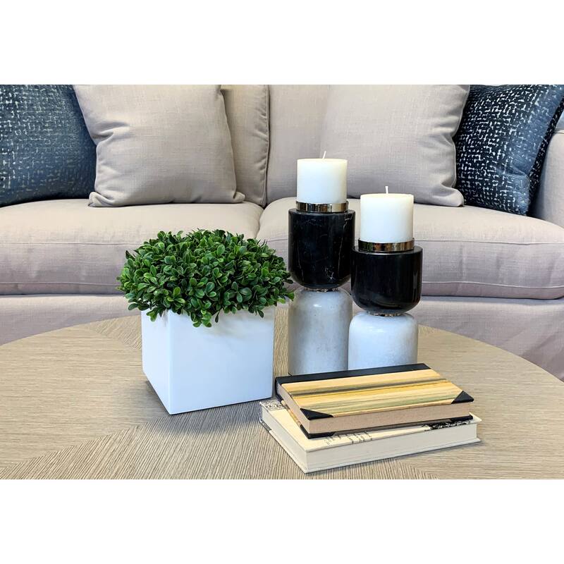 UV Rated Outdoor Boxwood in a Square Fiberstone Pot - White