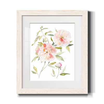Sketchbook Cottage Rose II-Premium Framed Print - Ready to Hang