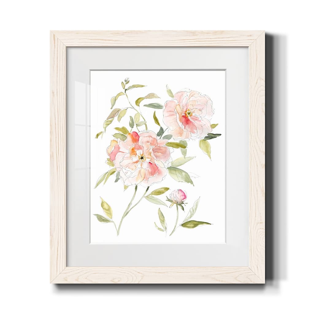 Sketchbook Cottage Rose II-Premium Framed Print - Ready to Hang
