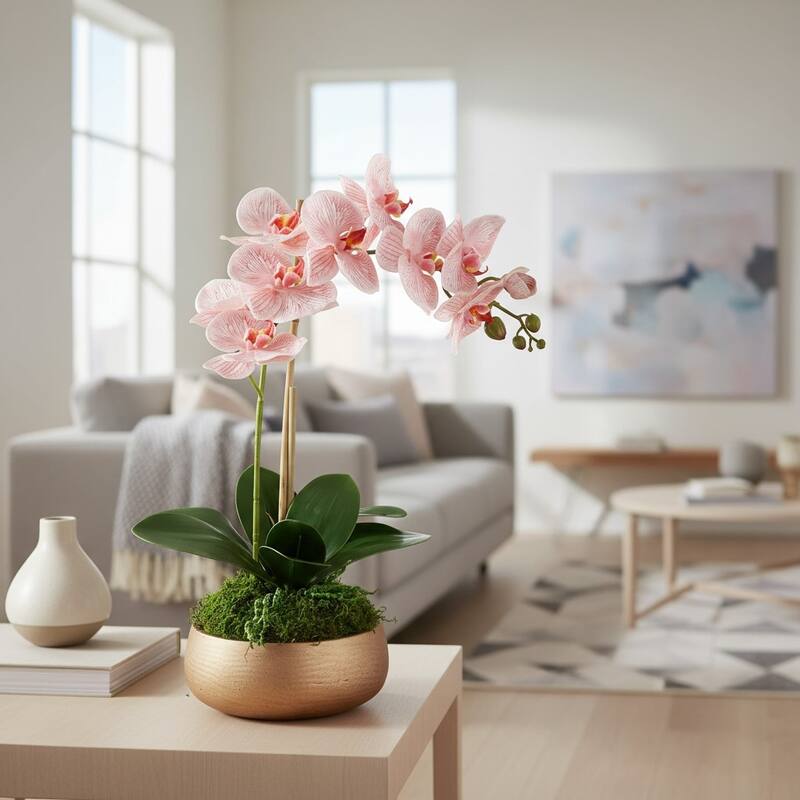 Orchid Arrangement in Fiberstone Planter - 23