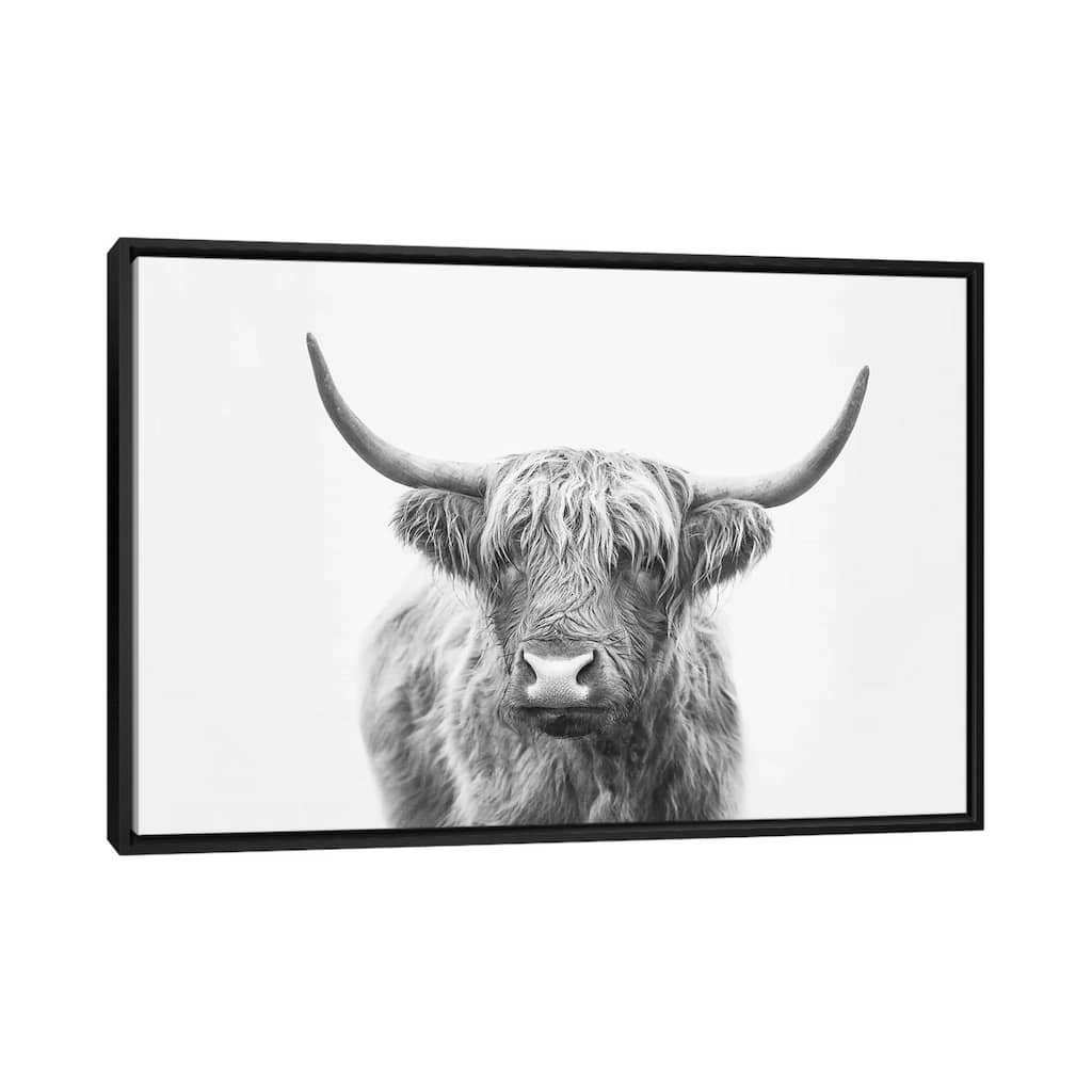 iCanvas "Highland Bull" by Sisi & Seb Framed Canvas Print