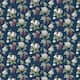 Option Navy