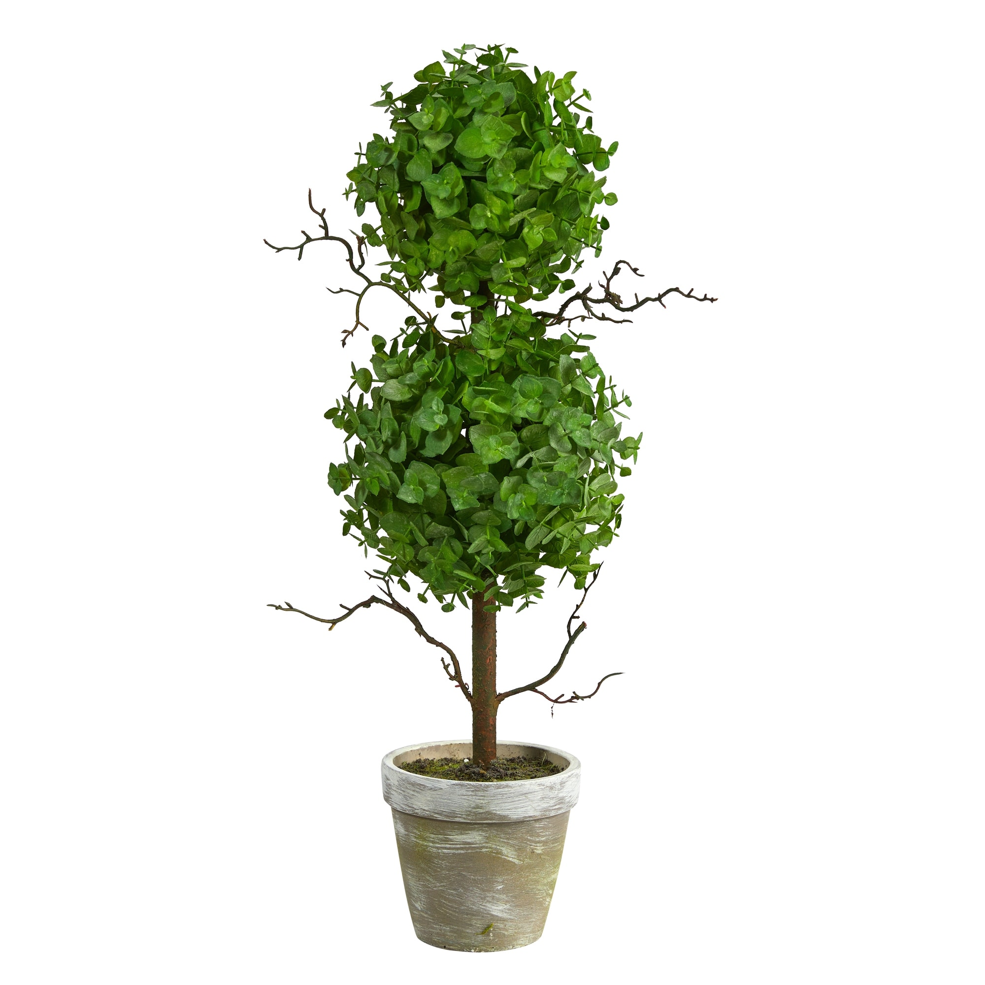 2' Eucalyptus Double Ball Topiary Artificial Tree - 6"