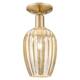 Option Champagne Bronze