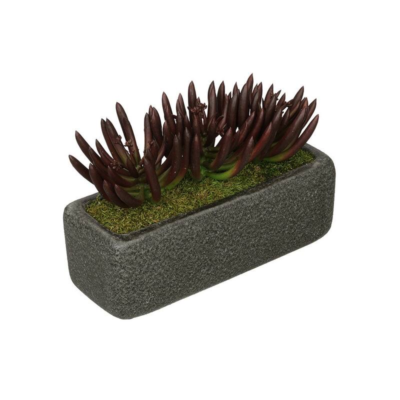 Faux Senecio Garden in Black Sandy-Texture Ceramic Vase - Burgundy