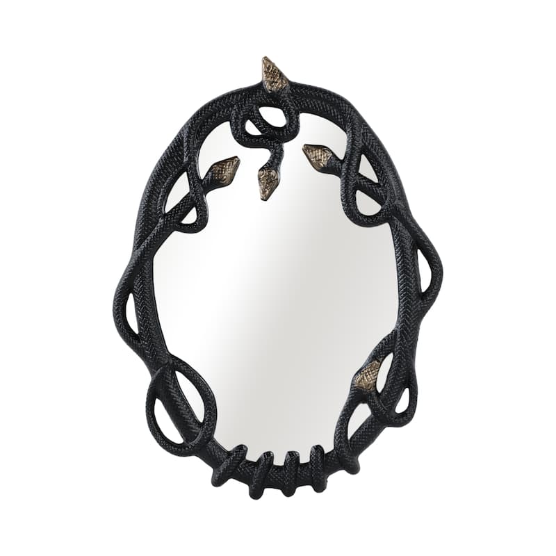 Aluminum Modern Glam Snake-Inspired Wall Mirror - 28" Black and Gold - 22" x 1" x 28" - Black/ Gold - 22" x 1" x 28"