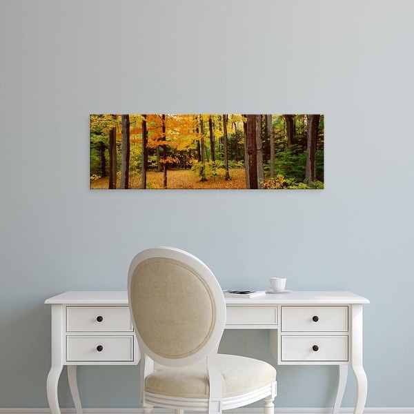 Easy Art Prints Panoramic Image 'Trees in a forest, Chestnut Ridge County Park, Erie County, New York State' Canvas Art