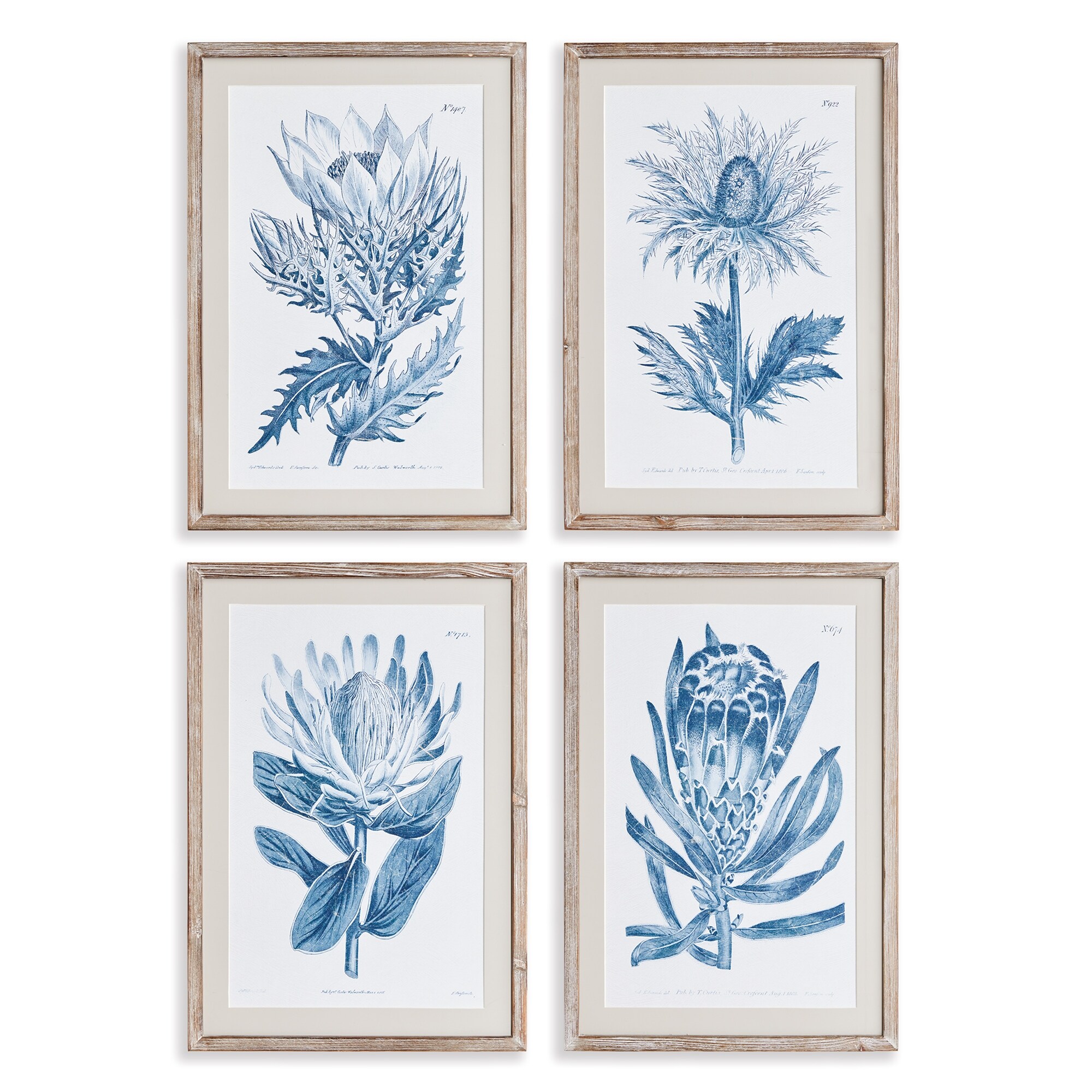 Indigo Protea Prints, Set Of 4 - Bed Bath & Beyond - 38266222