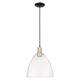 Option Clear / Black Antique Brass