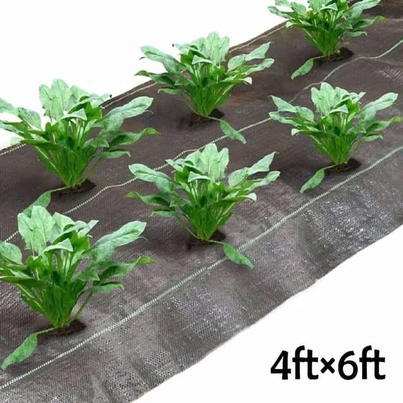 Agfabric weed barrier with6",2rows planting hole,4'x6' - 4'x6' - 4'x6'