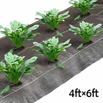 Agfabric weed barrier with6",2rows planting hole,4'x6' - 4'x6'