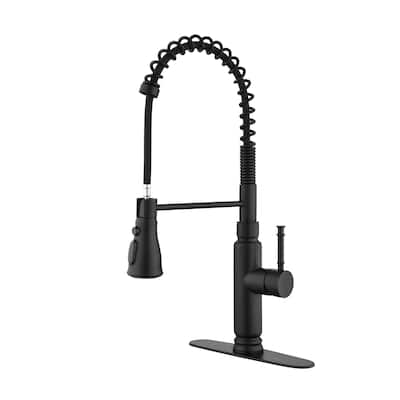 Spring Kitchen Faucet, Single Level Handle and Pull Down Sprayer