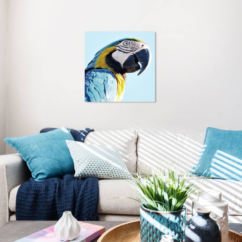 Wynwood Studio Canvas Animals Macaw Blue and Light Blue Tropical Wall Art Canvas Print - 20 x 20