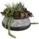 preview thumbnail 1 of 2, Uttermost 60214 Yuma 13" Tall Cement Faux Flora Planter Dark Iron