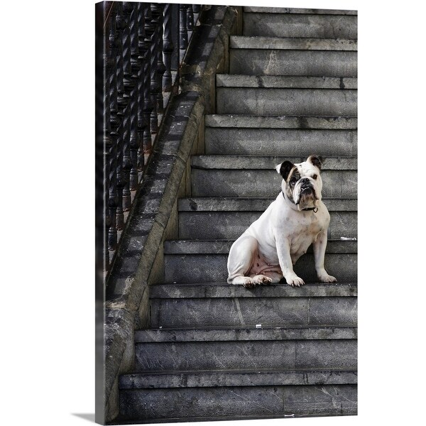 "A bulldog sits on steps in Mundaka, Spain" Canvas Wall Art