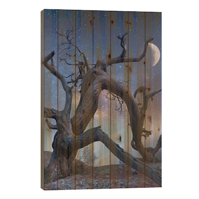 Ancient Pine At Night, Mount Scott, Wichita Mountains Nwf Oklahoma, Composite Print On Wood by Tim Fitzharris - Multi-Color