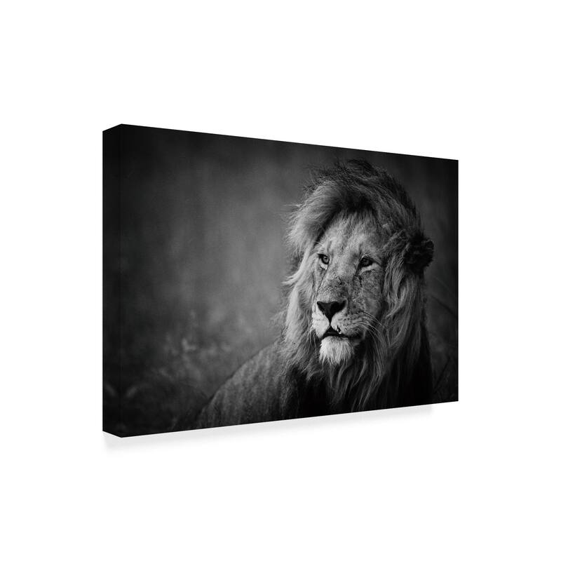 Mohammed Alnaser 'Regal Lion' Canvas Art