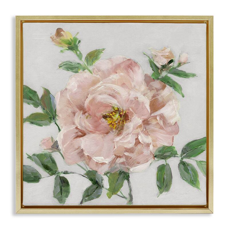 Stupell Pink Carnation Blossom Framed Floater Canvas Wall Art Design By Sally Swatland - 25 x 25 - Gold