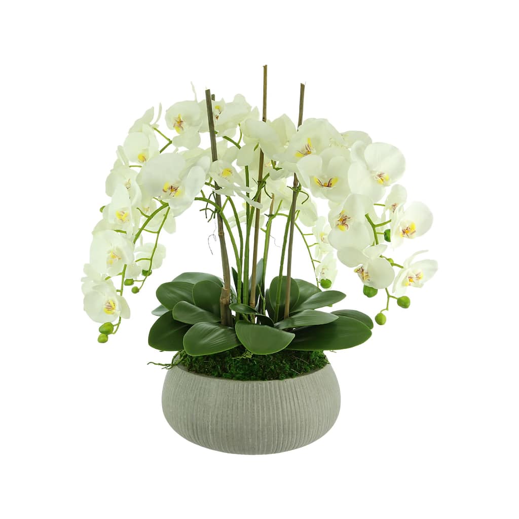 Orchid Arrangement in a Round Fiberstone Planter - White, Gray