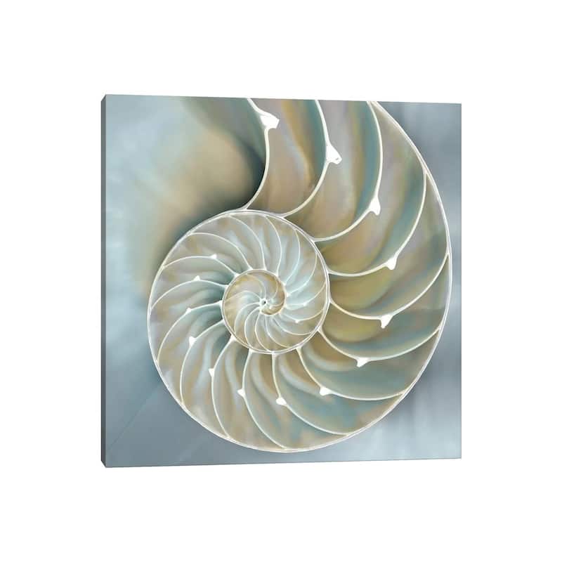 iCanvas "Nautilus In Blue II" by Caroline Kelly Canvas Print