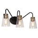 preview thumbnail 13 of 21, Modern Black Gold Bathroom Vanity Light Wall Sconces with Seeded Glass