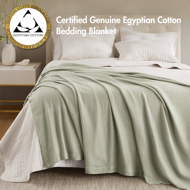 Madison Park Egyptian Cotton Solid Blanket