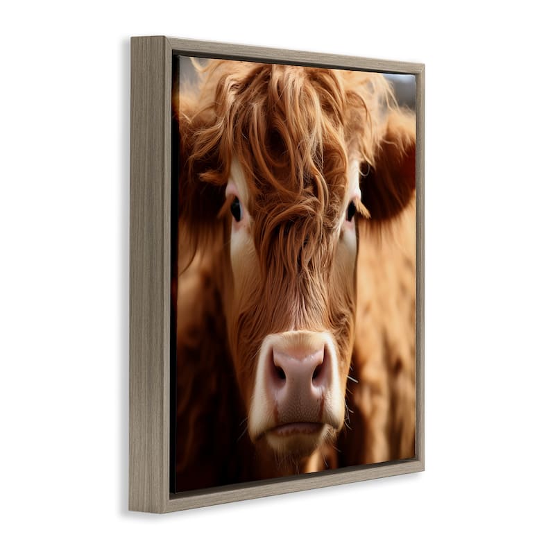 Stupell Close Up Furry Cow Portrait Framed Floater Canvas Wall Art Design By Heidi Kuntz