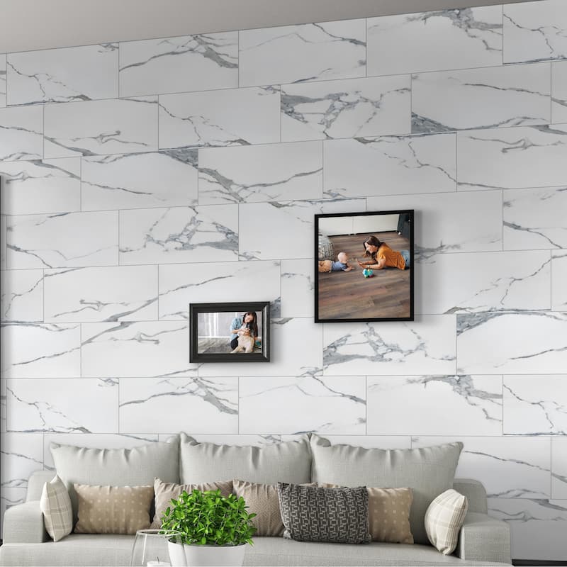 Ackland AKNPTVEL12X24M-PL Velluto - 12" x 24" Porcelain Solid Floor