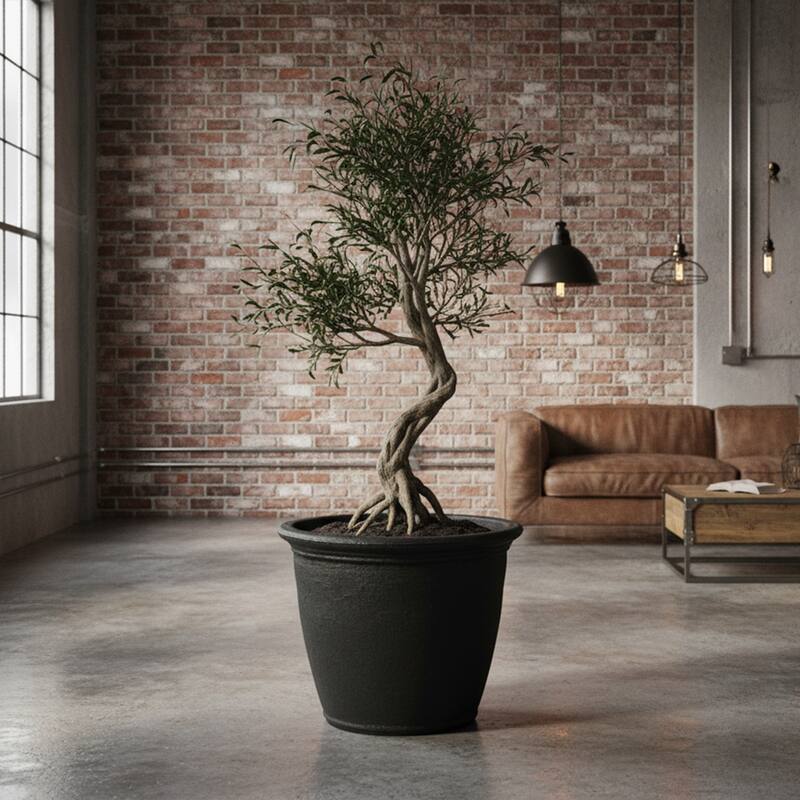 Sunnydaze Anjelica Polyresin Large Round Outdoor Planter