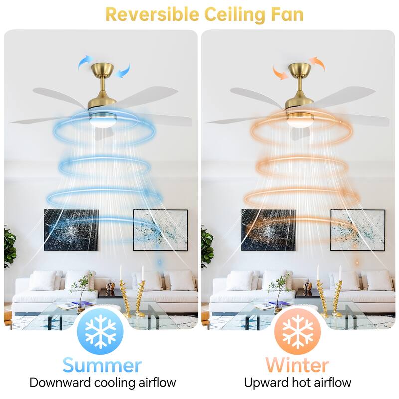 52-Inch Ceiling Fan with Light - Dimmable with Memory Function, DC Reversible Motor, Includes Remote Control