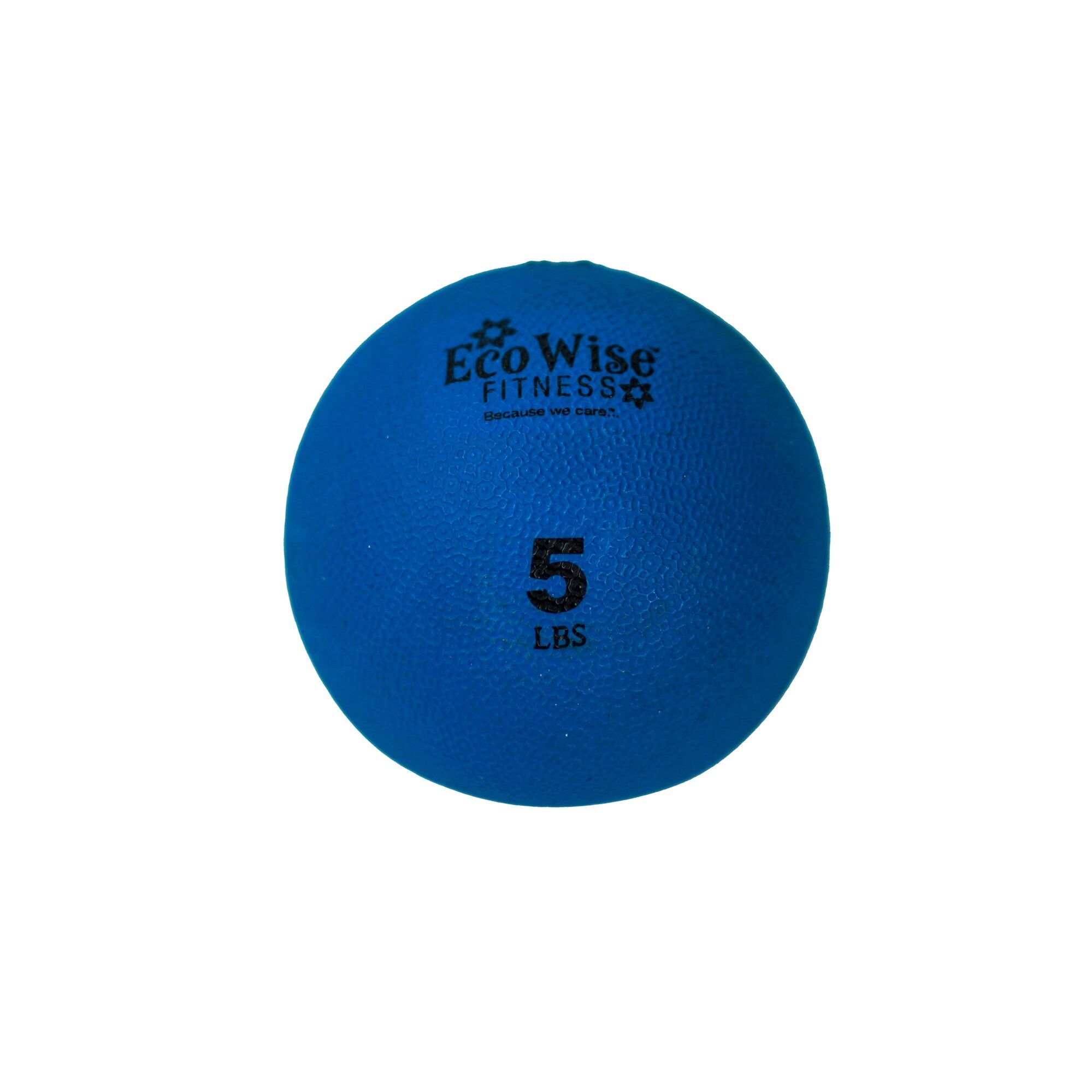 Ecowise fitness ball outlet