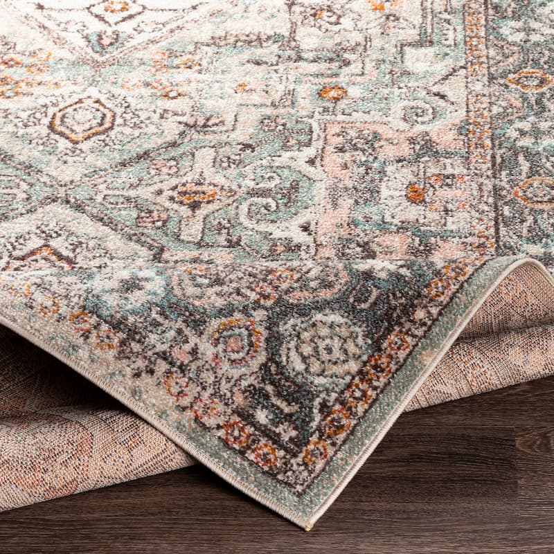 Livabliss Meena Traditional Oriental Area Rug