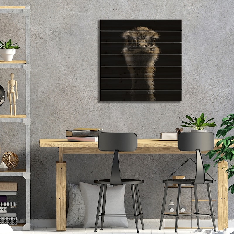 Ostrich In Black & White Print On Wood by Lukas Holas - Multi-Color