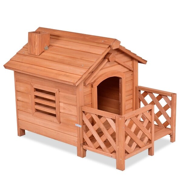 small dogs house