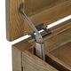 preview thumbnail 13 of 13, Shay Storage Trunk End Table with Removeable Tray by iNSPIRE Q Artisan