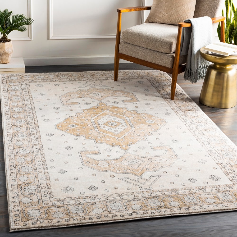 Artistic Weavers Suzy Bohemian Nomad Medallion Area Rug